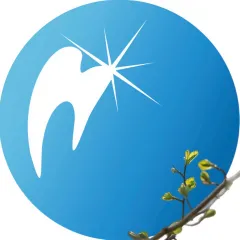 Стоматологическая клиника стоматология жемчужина гульяновск, Ульяновск(Ульяновская область), Московское шоссе 75Б, Ульяновск, тел: +78422277177